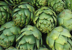 Organic Artichokes